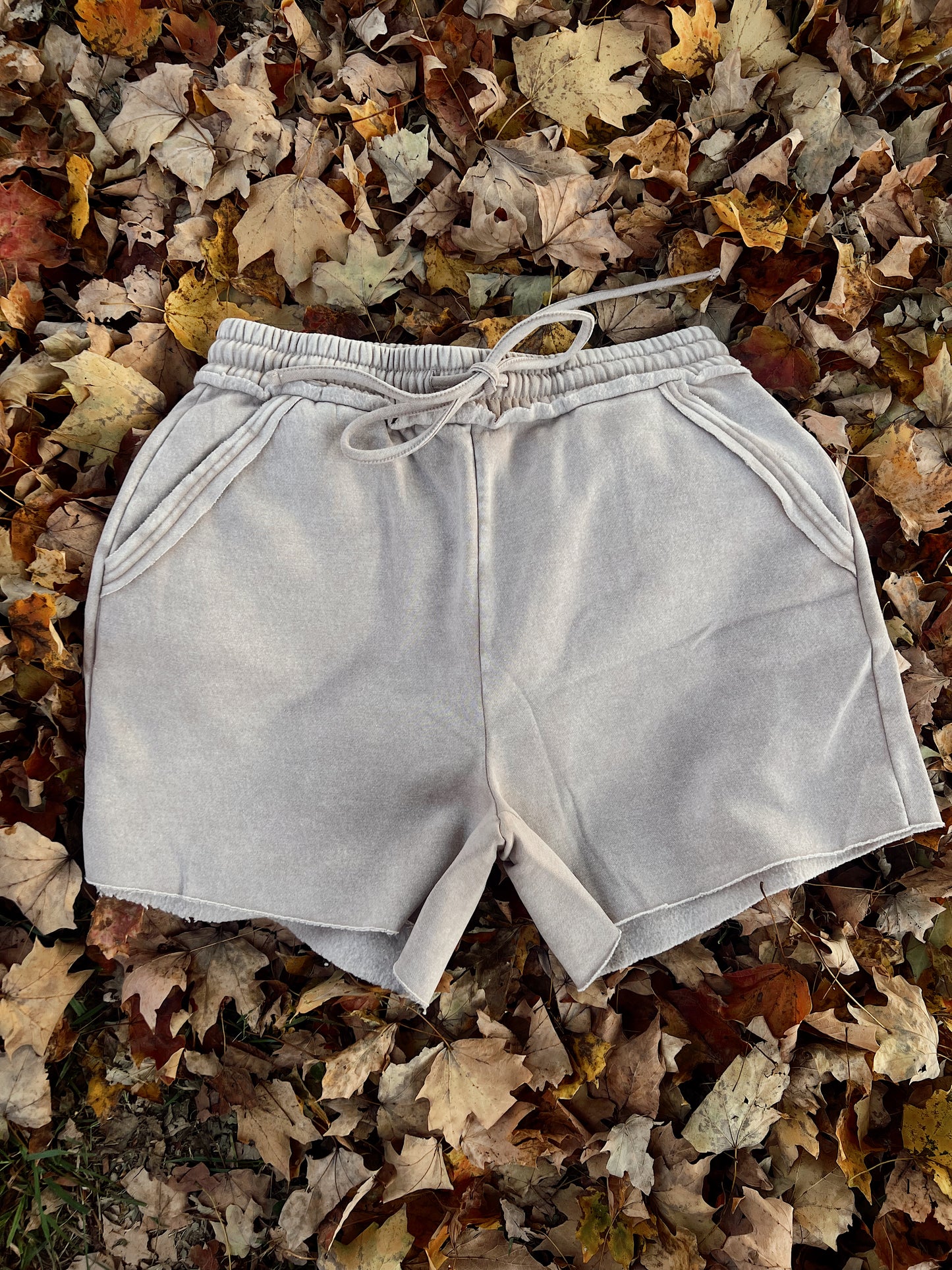 Cozy Shorts