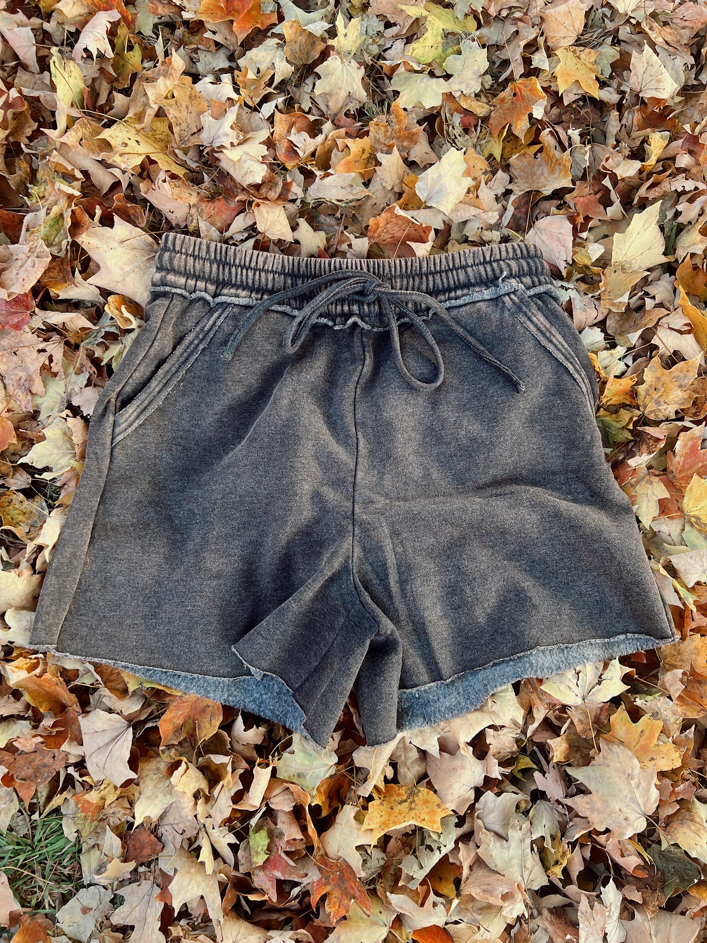 Cozy Shorts