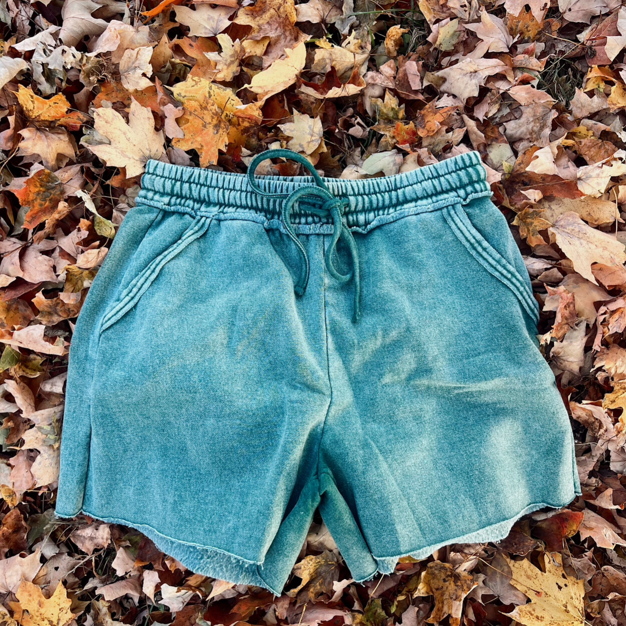 Cozy Shorts