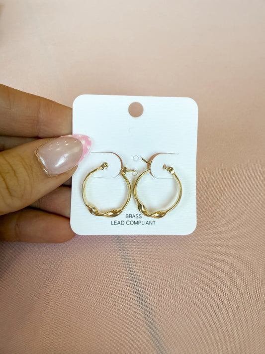 Hoop Earrings